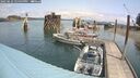 ./images/quadra/hbidock/20250622/hbidock20250622_124500M.jpg