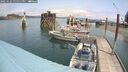 ./images/quadra/hbidock/20250622/hbidock20250622_125011M.jpg