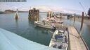 ./images/quadra/hbidock/20250622/hbidock20250622_131511M.jpg