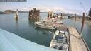 ./images/quadra/hbidock/20250622/hbidock20250622_132008M.jpg