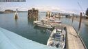 ./images/quadra/hbidock/20250622/hbidock20250622_132510M.jpg