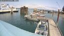 ./images/quadra/hbidock/20250622/hbidock20250622_133000M.jpg