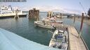 ./images/quadra/hbidock/20250622/hbidock20250622_133011M.jpg
