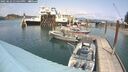 ./images/quadra/hbidock/20250622/hbidock20250622_134500M.jpg