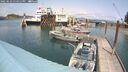 ./images/quadra/hbidock/20250622/hbidock20250622_134511M.jpg