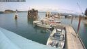 ./images/quadra/hbidock/20250622/hbidock20250622_140000M.jpg