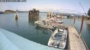 ./images/quadra/hbidock/20250622/hbidock20250622_140011M.jpg