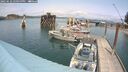 ./images/quadra/hbidock/20250622/hbidock20250622_141000M.jpg