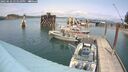 ./images/quadra/hbidock/20250622/hbidock20250622_141010M.jpg