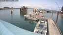./images/quadra/hbidock/20250622/hbidock20250622_142009M.jpg