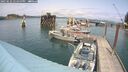 ./images/quadra/hbidock/20250622/hbidock20250622_142500M.jpg