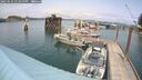 ./images/quadra/hbidock/20250622/hbidock20250622_143000M.jpg