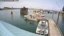 ./images/quadra/hbidock/20250622/hbidock20250622_145000M.jpg