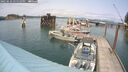 ./images/quadra/hbidock/20250622/hbidock20250622_145509M.jpg