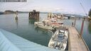./images/quadra/hbidock/20250622/hbidock20250622_150500M.jpg