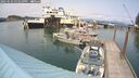 ./images/quadra/hbidock/20250622/hbidock20250622_151510M.jpg