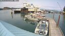 ./images/quadra/hbidock/20250622/hbidock20250622_152510M.jpg