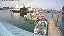 ./images/quadra/hbidock/20250622/hbidock20250622_153011M.jpg