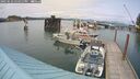 ./images/quadra/hbidock/20250622/hbidock20250622_154511M.jpg