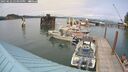 ./images/quadra/hbidock/20250622/hbidock20250622_155000M.jpg