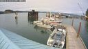 ./images/quadra/hbidock/20250622/hbidock20250622_161010M.jpg