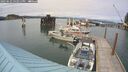 ./images/quadra/hbidock/20250622/hbidock20250622_162011M.jpg