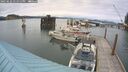./images/quadra/hbidock/20250622/hbidock20250622_171511M.jpg