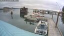 ./images/quadra/hbidock/20250623/hbidock20250623_055000M.jpg