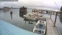 ./images/quadra/hbidock/20250623/hbidock20250623_061011M.jpg
