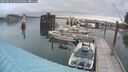 ./images/quadra/hbidock/20250623/hbidock20250623_063509M.jpg