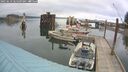 ./images/quadra/hbidock/20250623/hbidock20250623_065509M.jpg