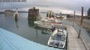 ./images/quadra/hbidock/20250623/hbidock20250623_080509M.jpg