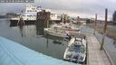 ./images/quadra/hbidock/20250623/hbidock20250623_081001M.jpg