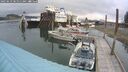 ./images/quadra/hbidock/20250623/hbidock20250623_081511M.jpg