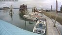 ./images/quadra/hbidock/20250623/hbidock20250623_095000M.jpg
