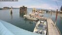 ./images/quadra/hbidock/20250623/hbidock20250623_142500M.jpg