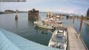 ./images/quadra/hbidock/20250623/hbidock20250623_144500M.jpg