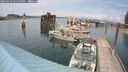 ./images/quadra/hbidock/20250623/hbidock20250623_145510M.jpg