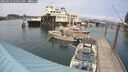./images/quadra/hbidock/20250623/hbidock20250623_153011M.jpg