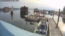 ./images/quadra/hbidock/20250624/hbidock20250624_074510M.jpg