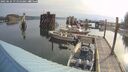 ./images/quadra/hbidock/20250624/hbidock20250624_075009M.jpg