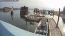 ./images/quadra/hbidock/20250624/hbidock20250624_075510M.jpg