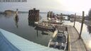 ./images/quadra/hbidock/20250624/hbidock20250624_080000M.jpg