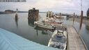 ./images/quadra/hbidock/20250624/hbidock20250624_144500M.jpg