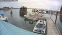 ./images/quadra/hbidock/20250624/hbidock20250624_155509M.jpg