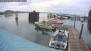 ./images/quadra/hbidock/20250625/hbidock20250625_054509M.jpg