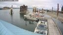 ./images/quadra/hbidock/20250625/hbidock20250625_143500M.jpg