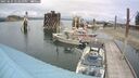 ./images/quadra/hbidock/20250625/hbidock20250625_143509M.jpg