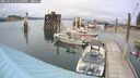./images/quadra/hbidock/20250625/hbidock20250625_151000M.jpg