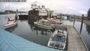 ./images/quadra/hbidock/20250625/hbidock20250625_160510M.jpg